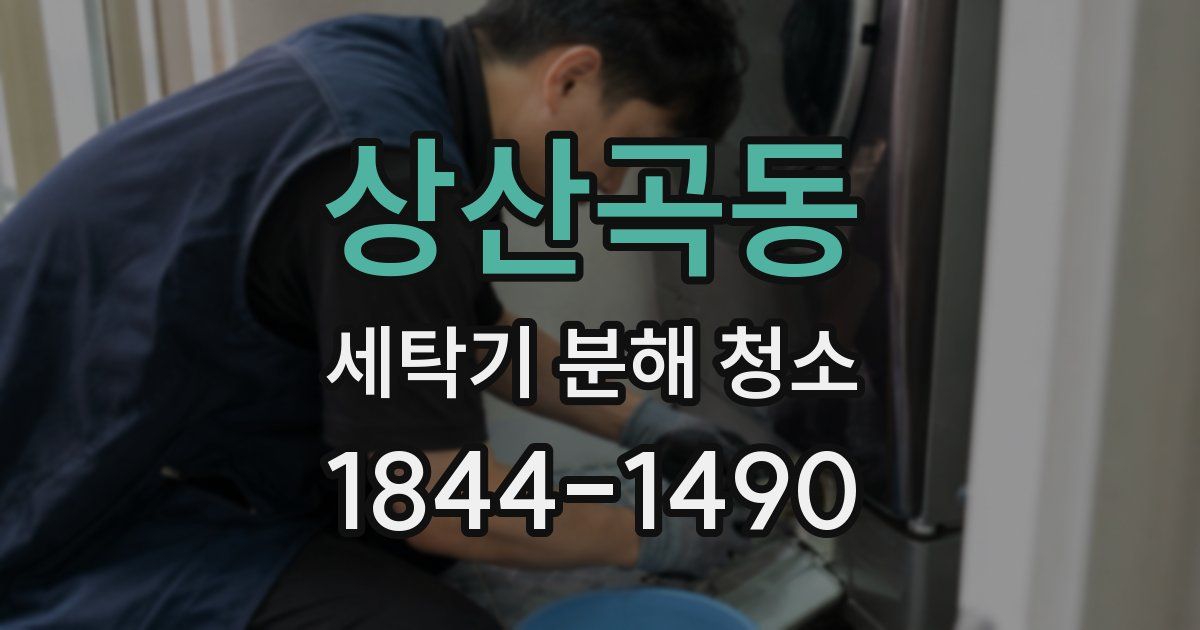 상산곡동 세탁기 분해 청소