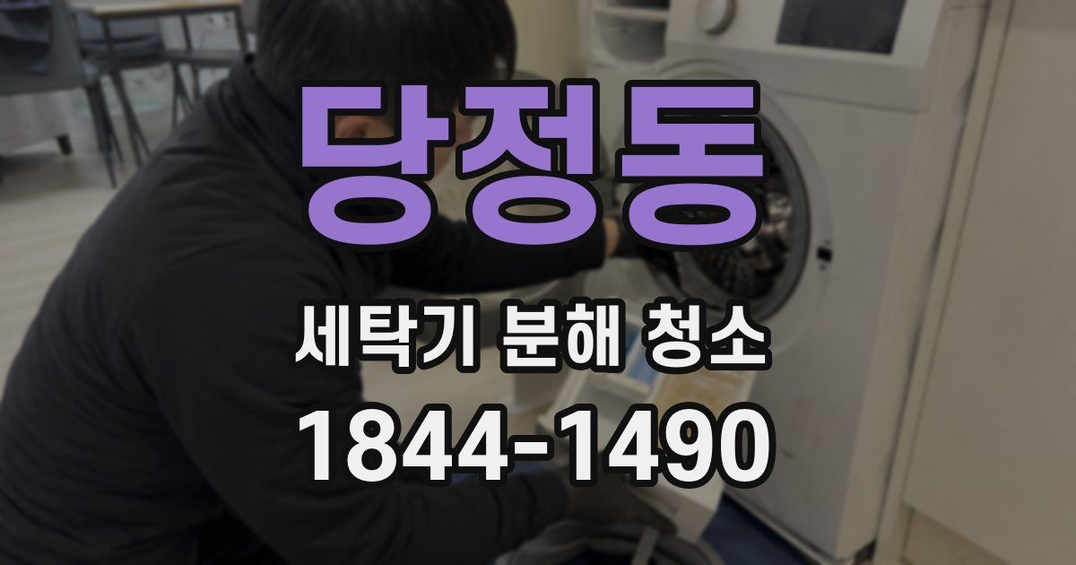 당정동 세탁기 분해 청소