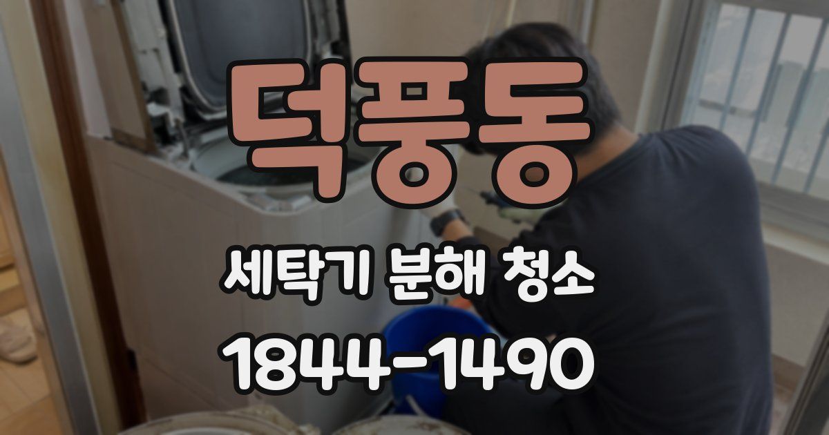 덕풍동 세탁기 분해 청소