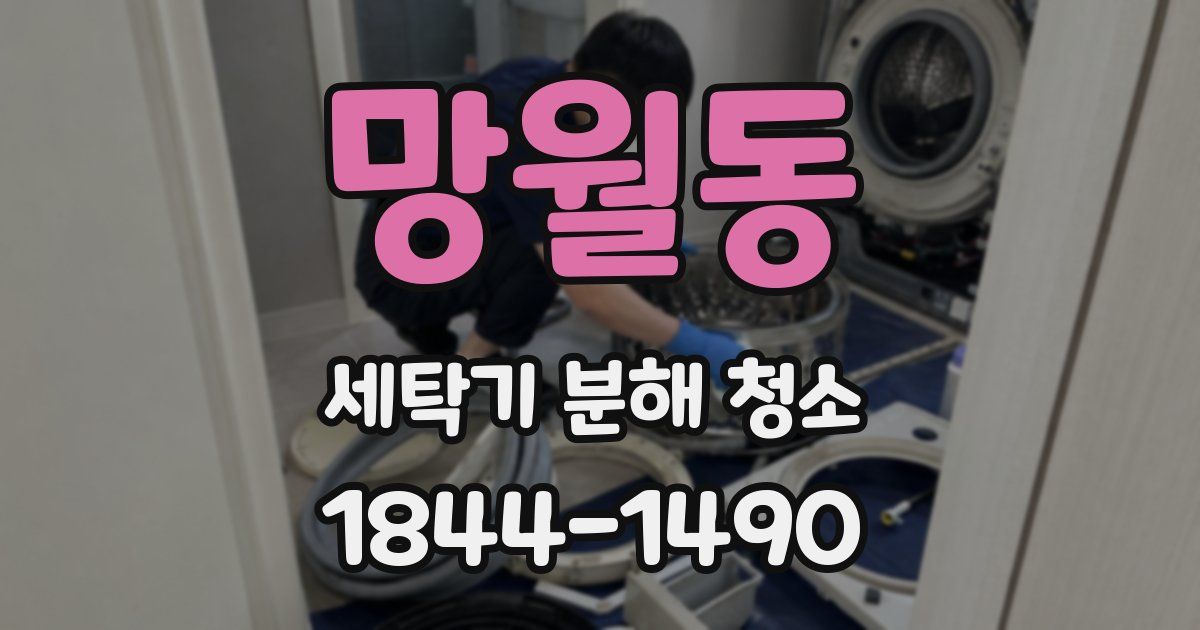 망월동 세탁기 분해 청소