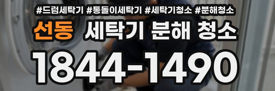 선동 세탁기 분해 청소