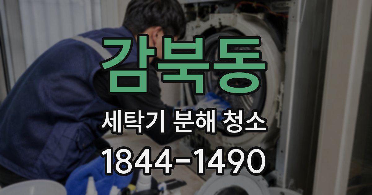 감북동 세탁기 분해 청소