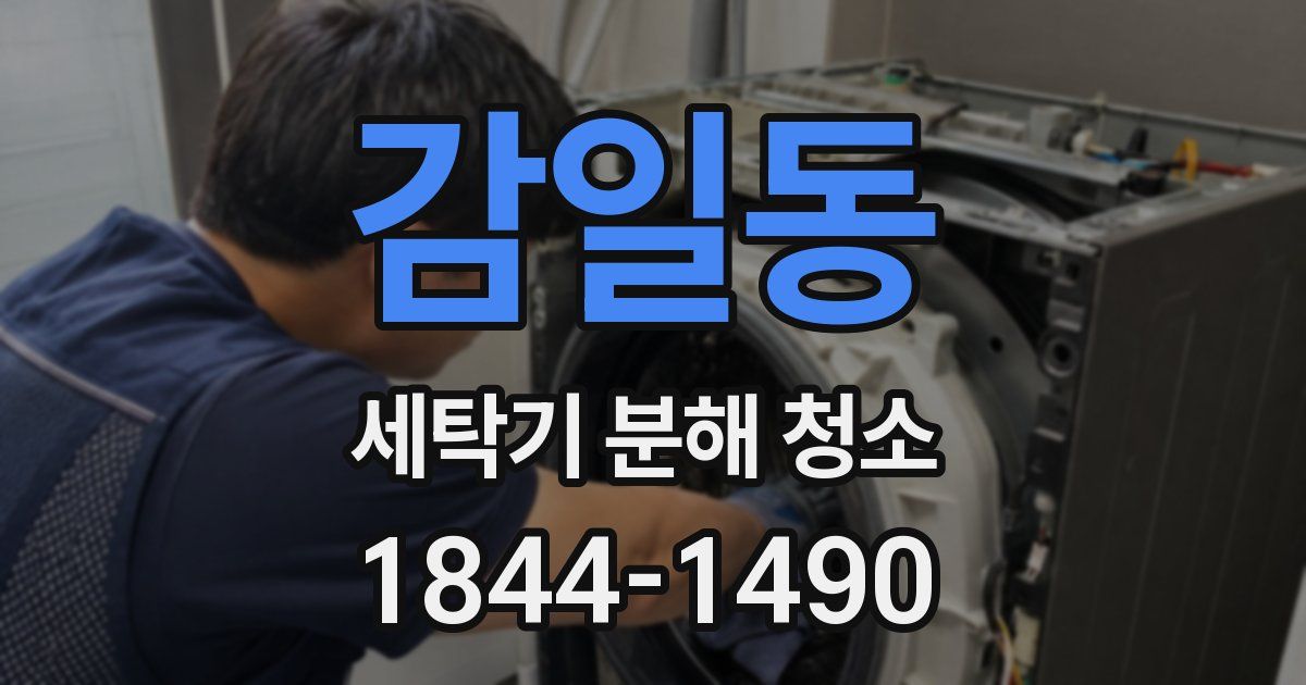 감일동 세탁기 분해 청소