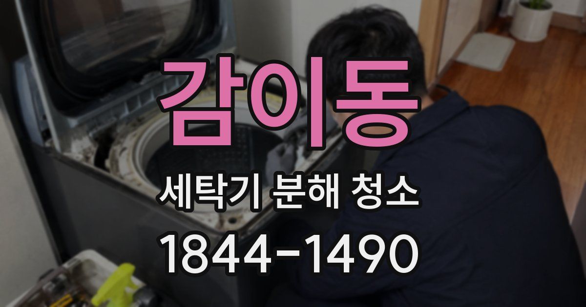 감이동 세탁기 분해 청소