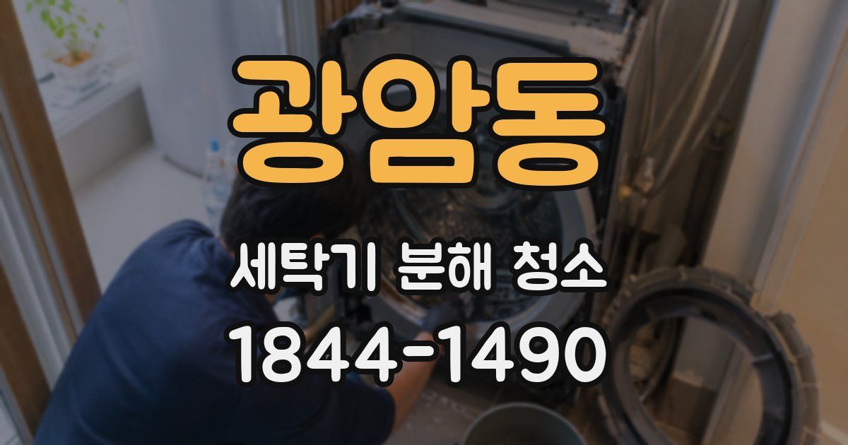 광암동 세탁기 분해 청소