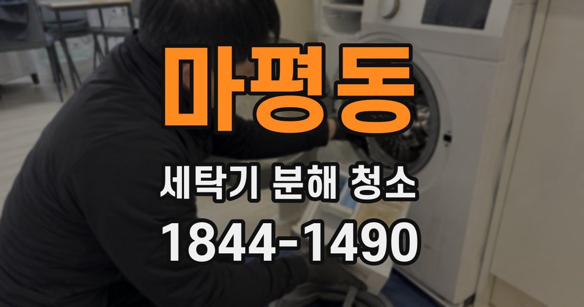 마평동 세탁기 분해 청소
