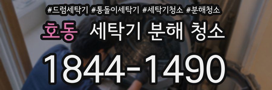 호동 세탁기 분해 청소