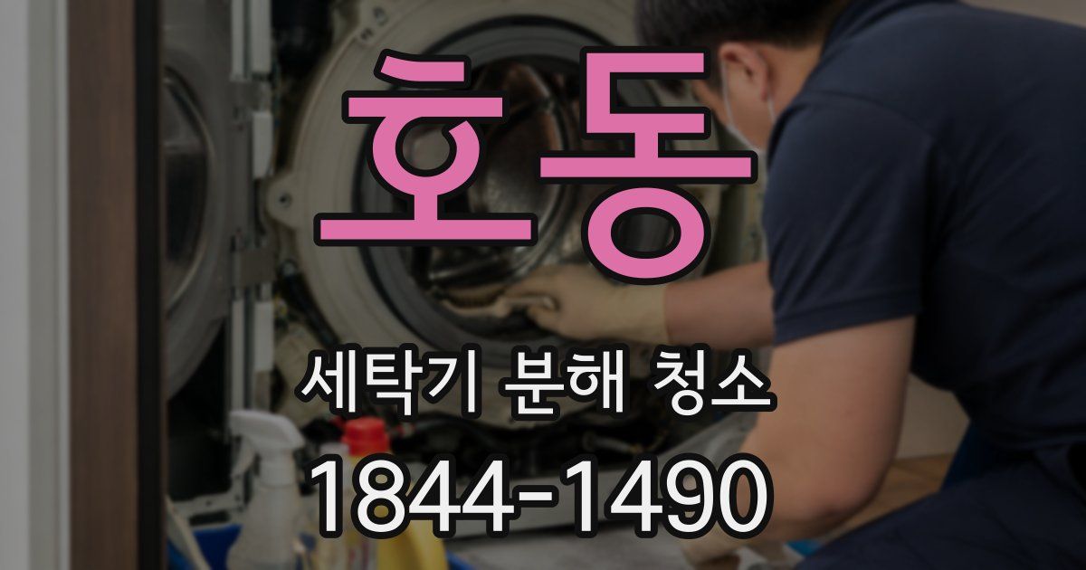 호동 세탁기 분해 청소