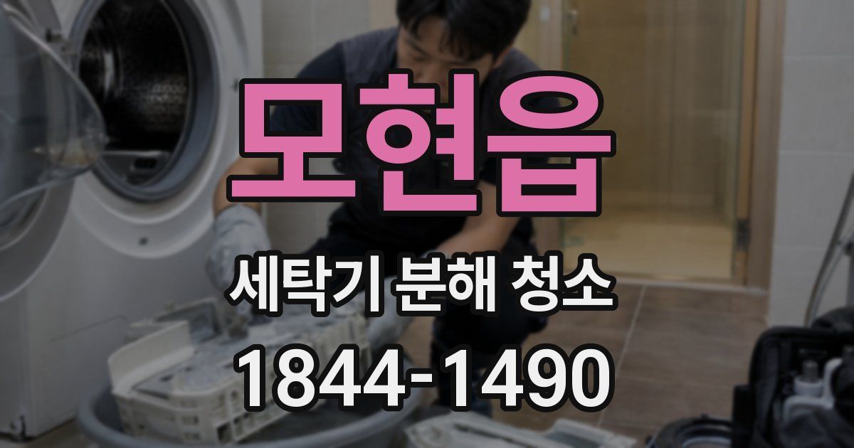 모현읍 세탁기 분해 청소