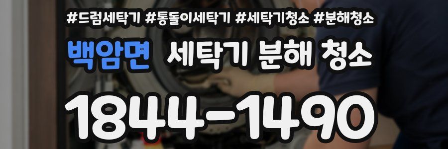 백암면 세탁기 분해 청소