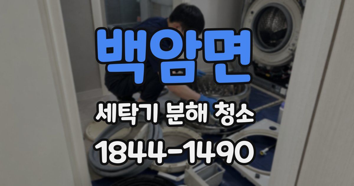 백암면 세탁기 분해 청소