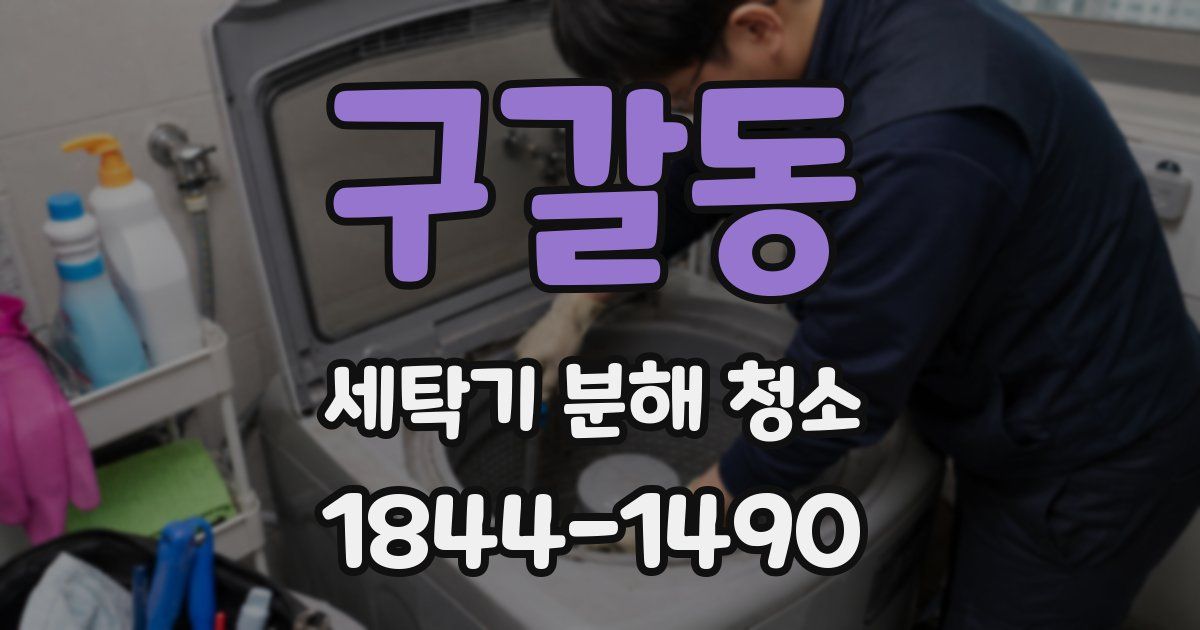 구갈동 세탁기 분해 청소