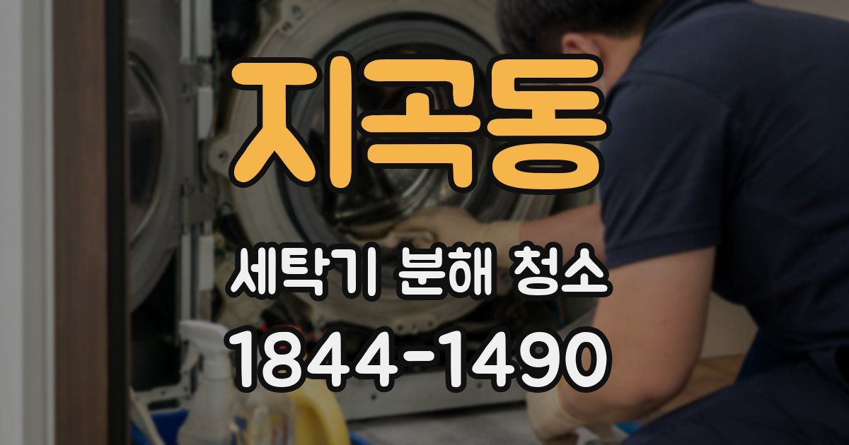지곡동 세탁기 분해 청소