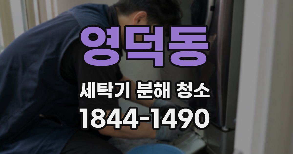 영덕동 세탁기 분해 청소