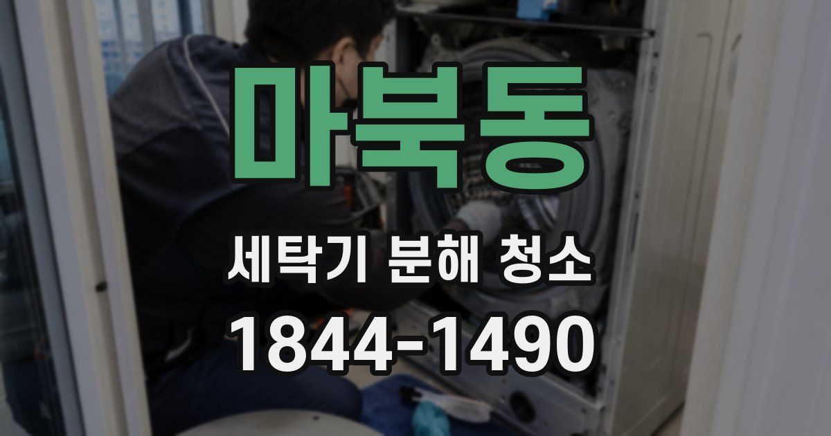 마북동 세탁기 분해 청소