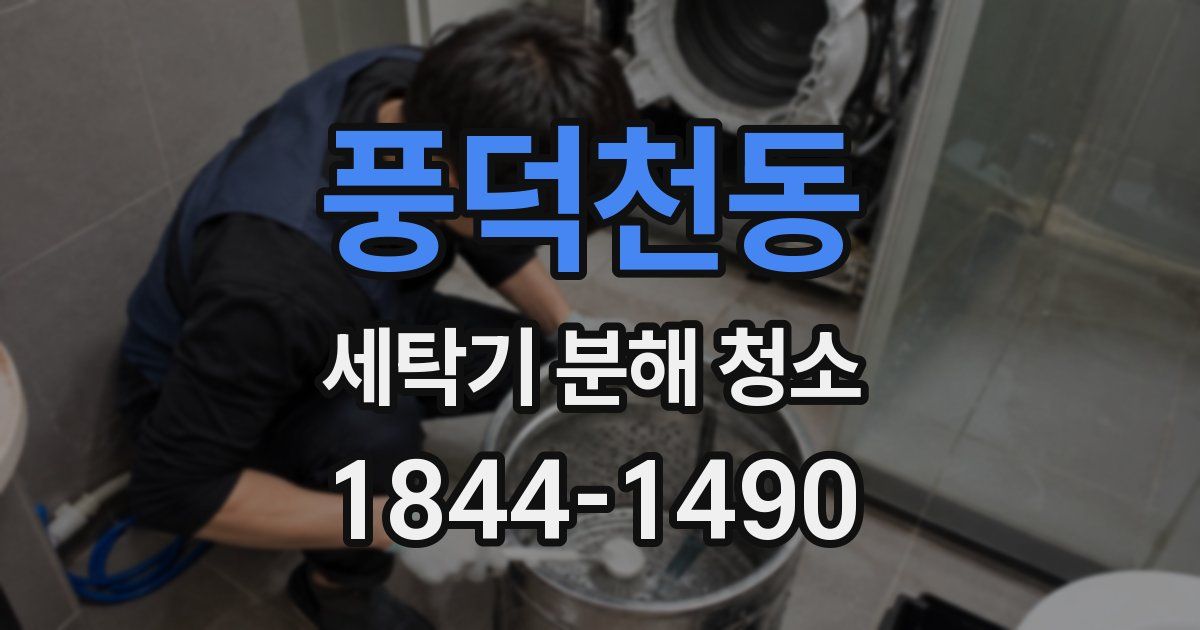 풍덕천동 세탁기 분해 청소