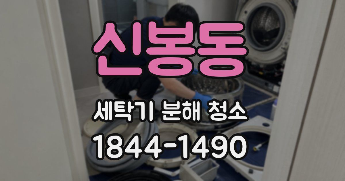 신봉동 세탁기 분해 청소