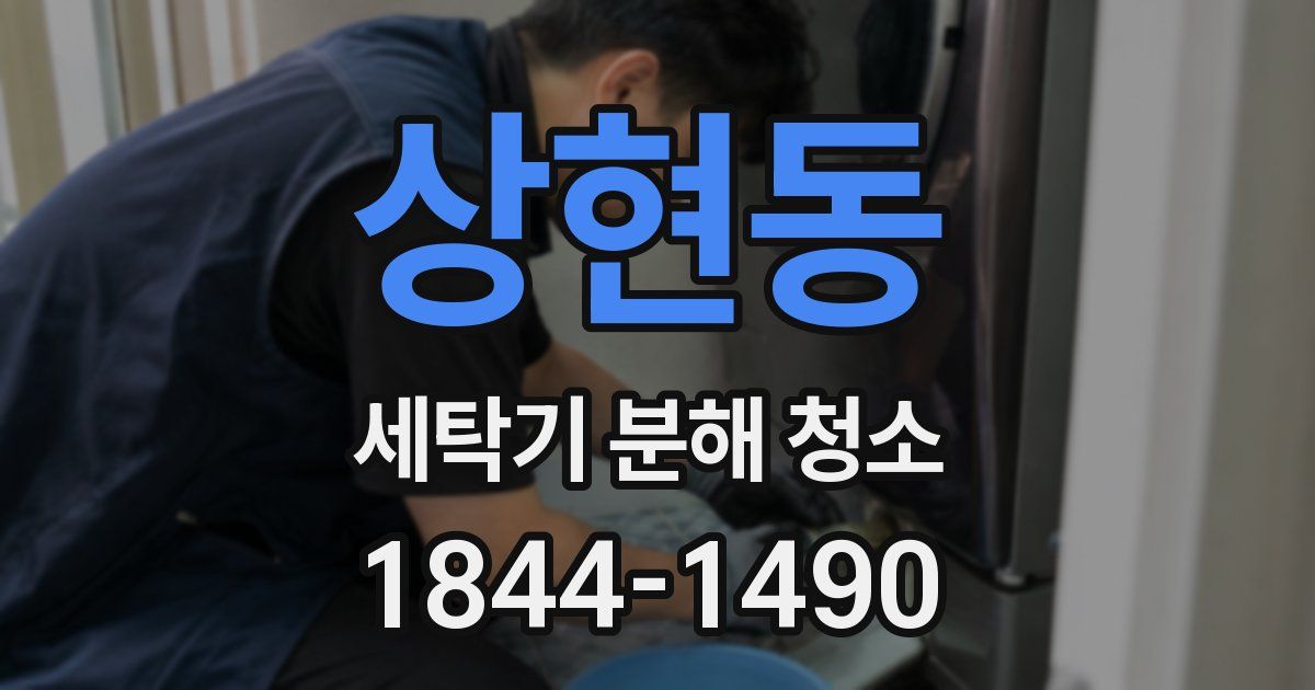 상현동 세탁기 분해 청소