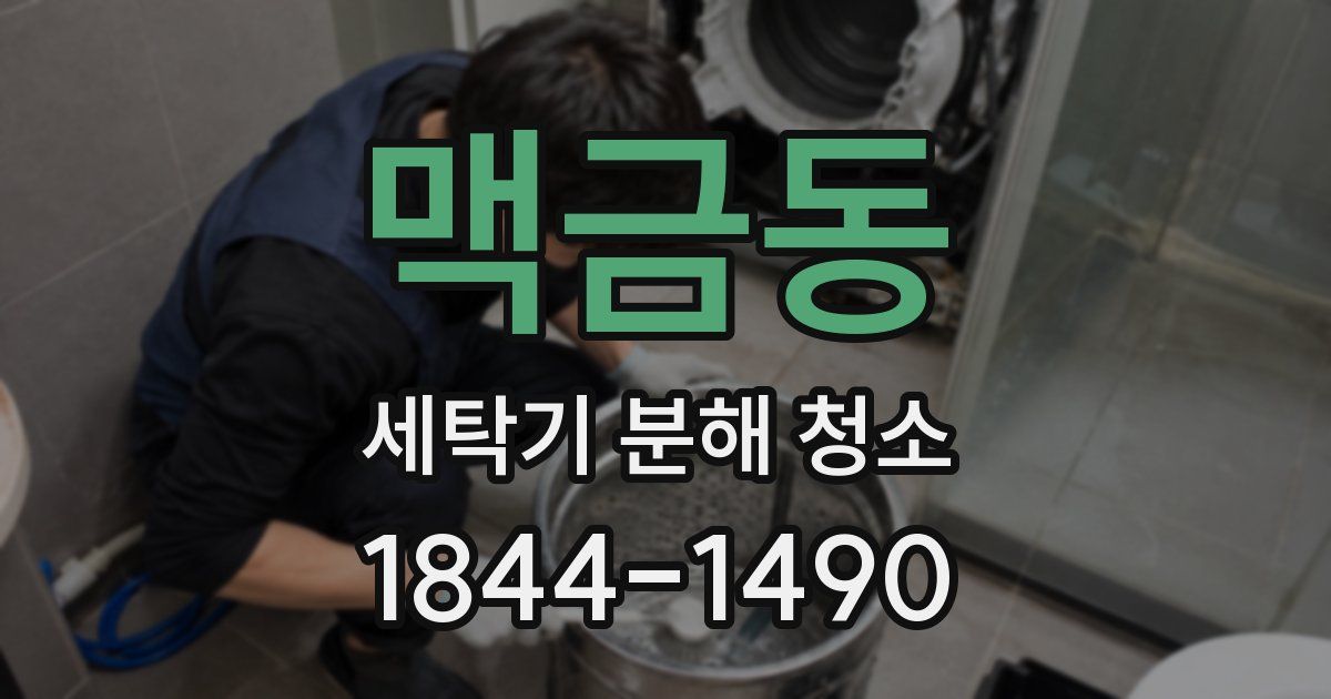 맥금동 세탁기 분해 청소