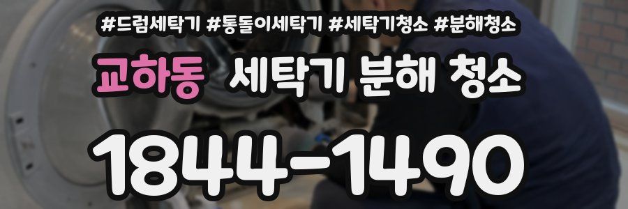 교하동 세탁기 분해 청소