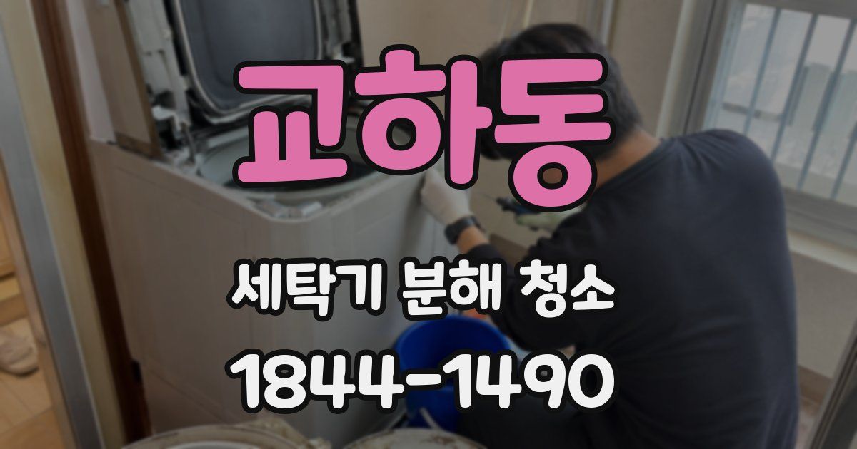 교하동 세탁기 분해 청소