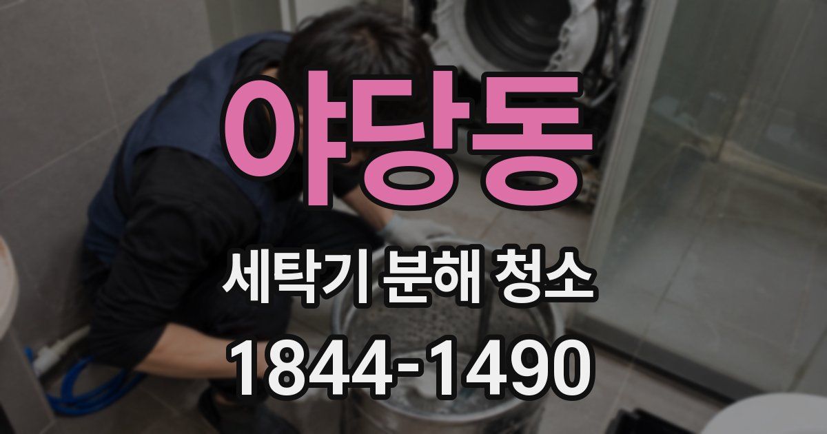 야당동 세탁기 분해 청소