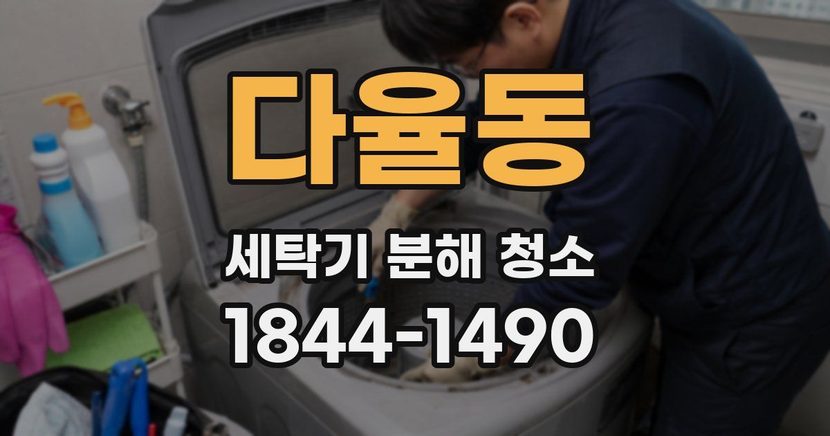 다율동 세탁기 분해 청소
