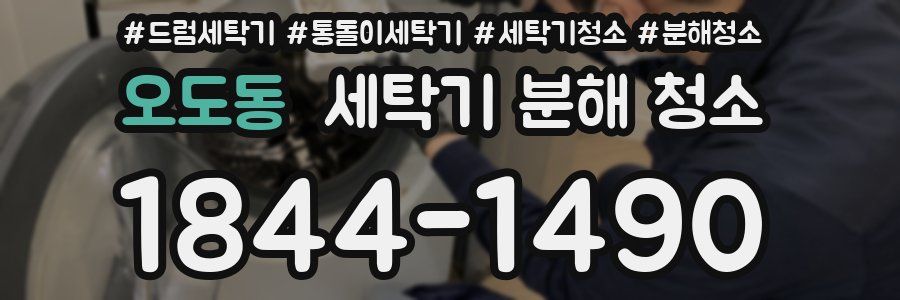 오도동 세탁기 분해 청소