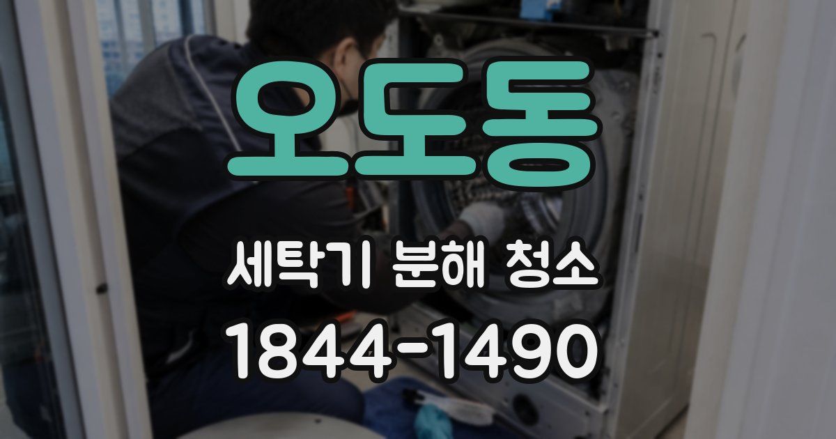 오도동 세탁기 분해 청소