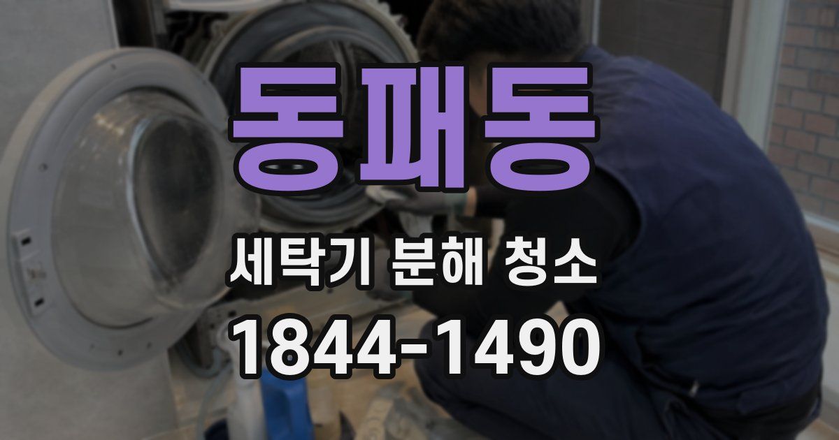 동패동 세탁기 분해 청소