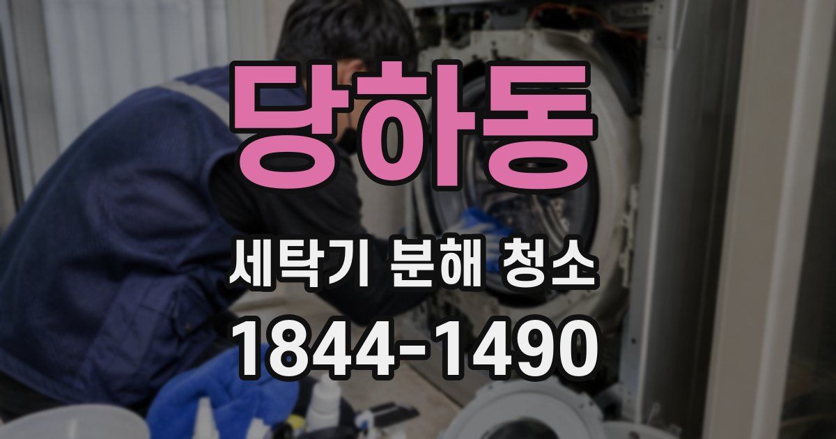 당하동 세탁기 분해 청소