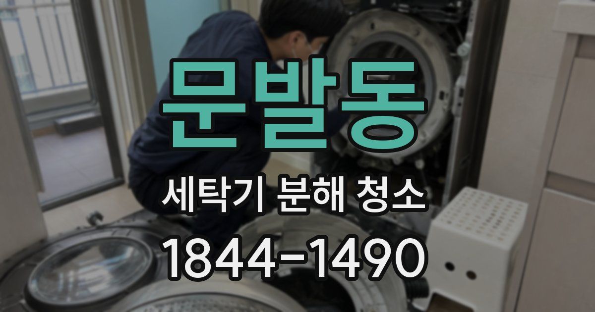 문발동 세탁기 분해 청소