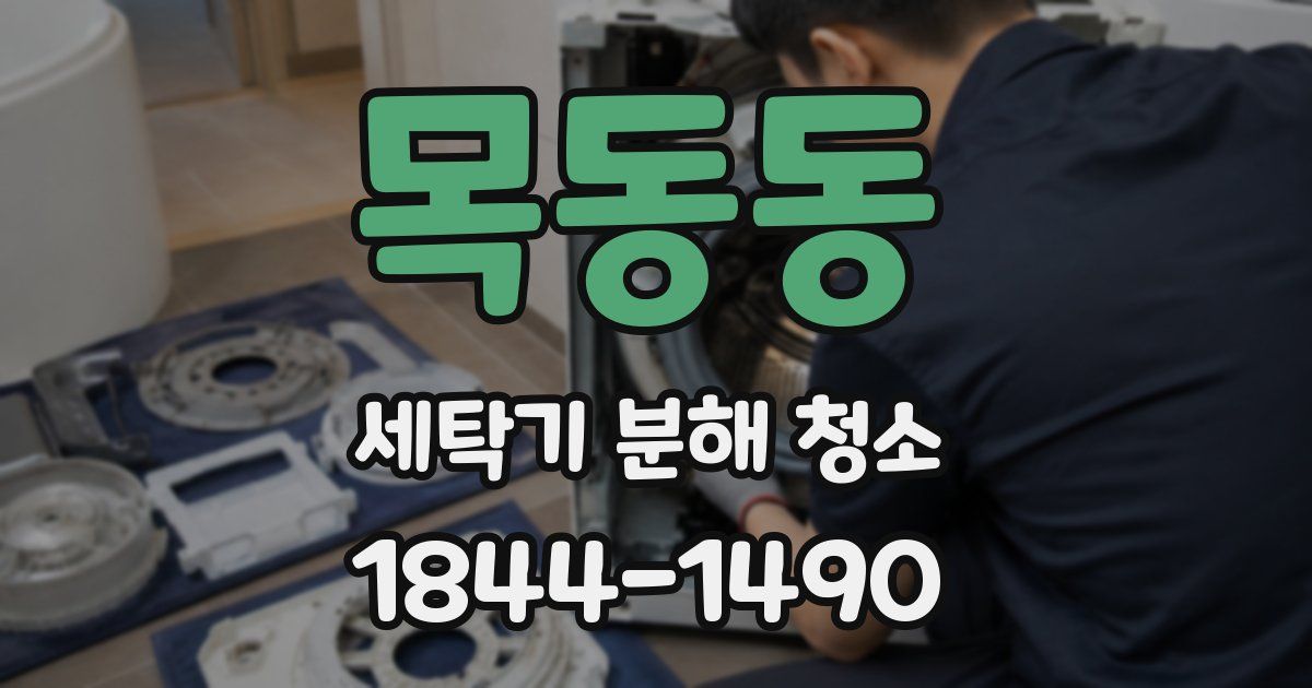 목동동 세탁기 분해 청소