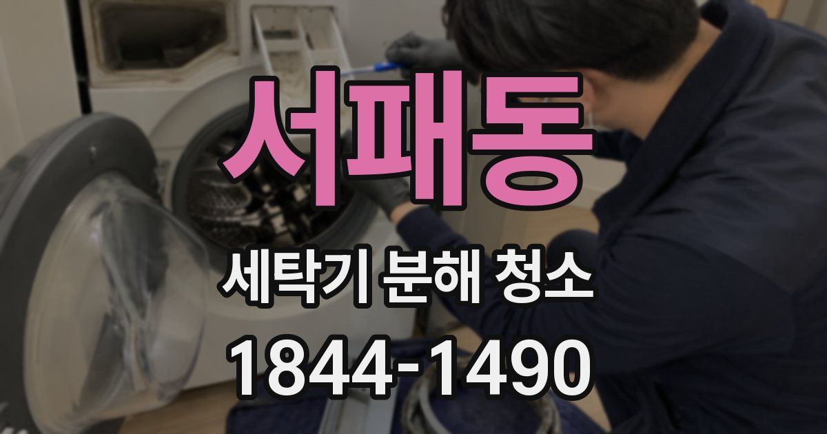 서패동 세탁기 분해 청소