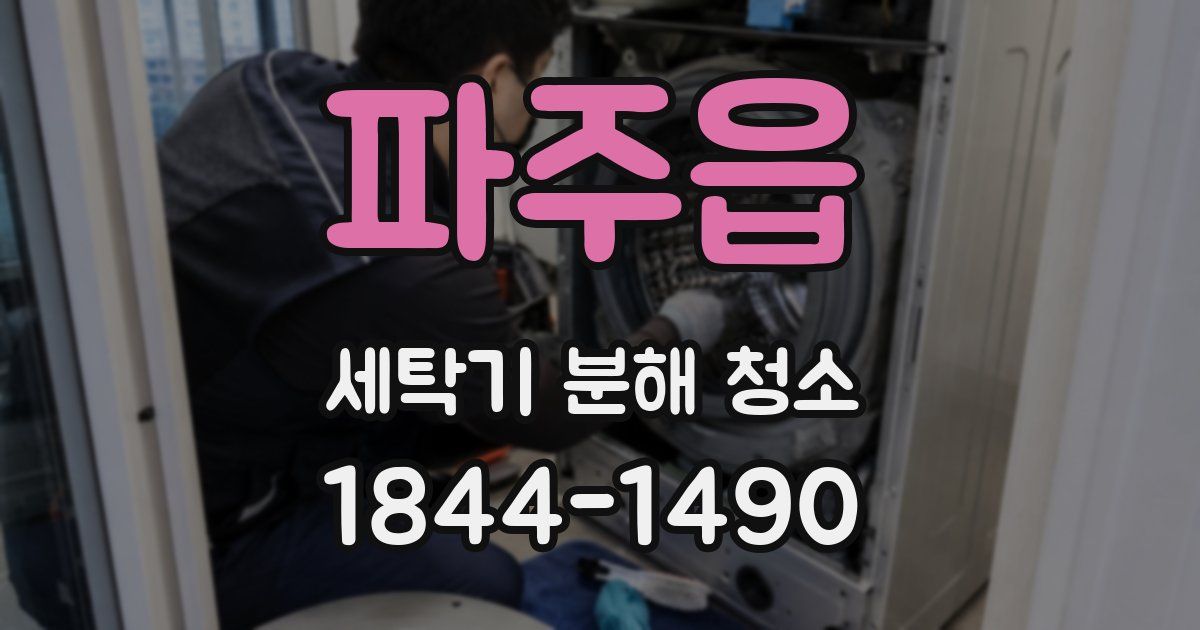 파주읍 세탁기 분해 청소