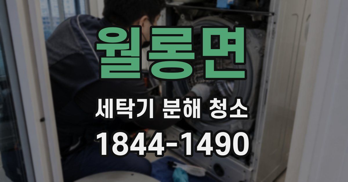 월롱면 세탁기 분해 청소
