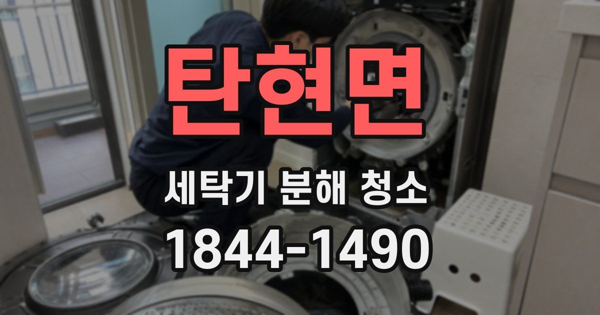 탄현면 세탁기 분해 청소