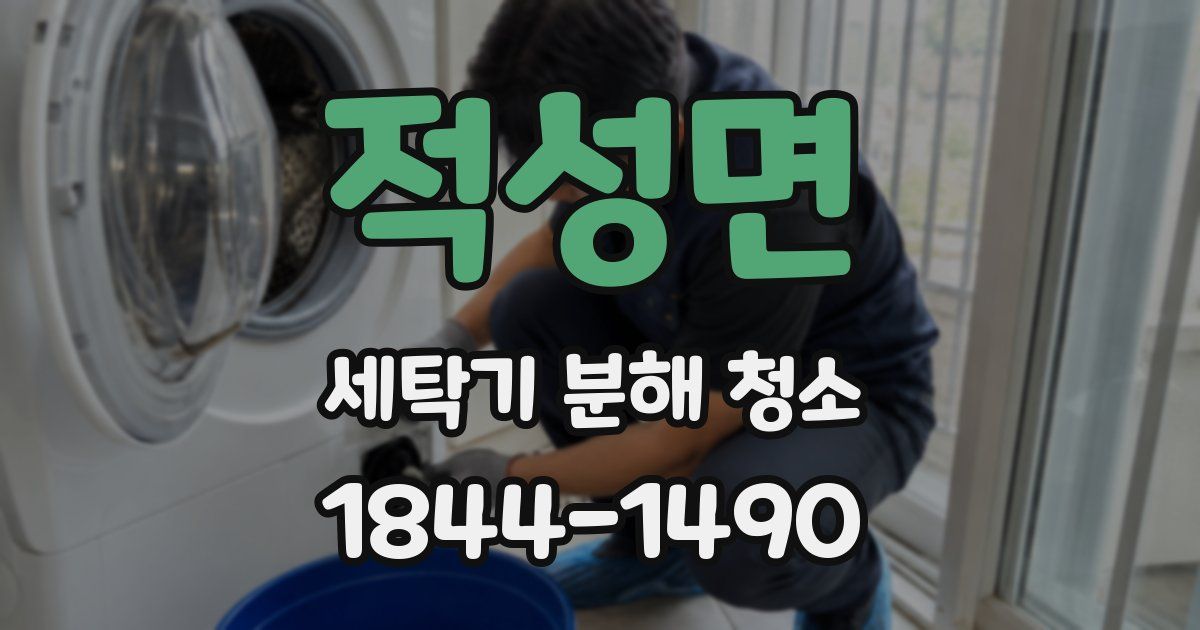 적성면 세탁기 분해 청소