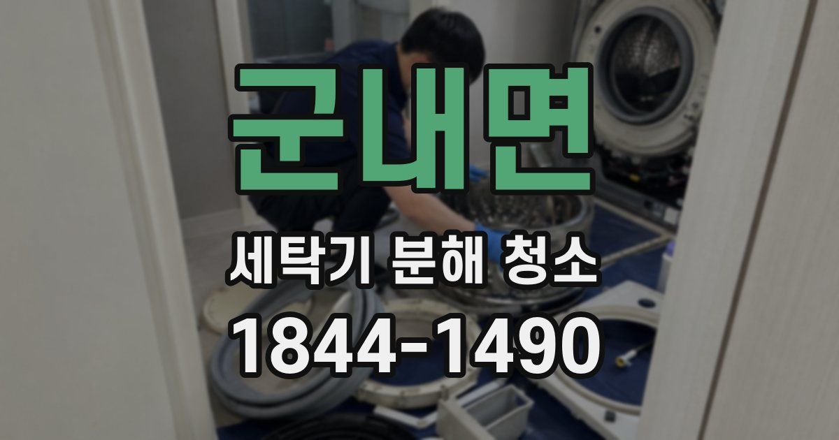 군내면 세탁기 분해 청소