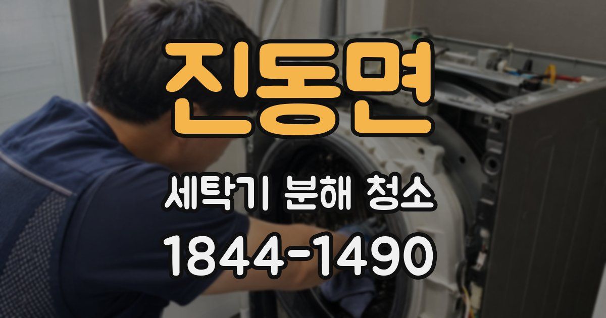 진동면 세탁기 분해 청소