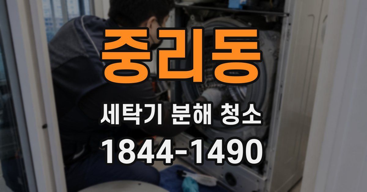 중리동 세탁기 분해 청소