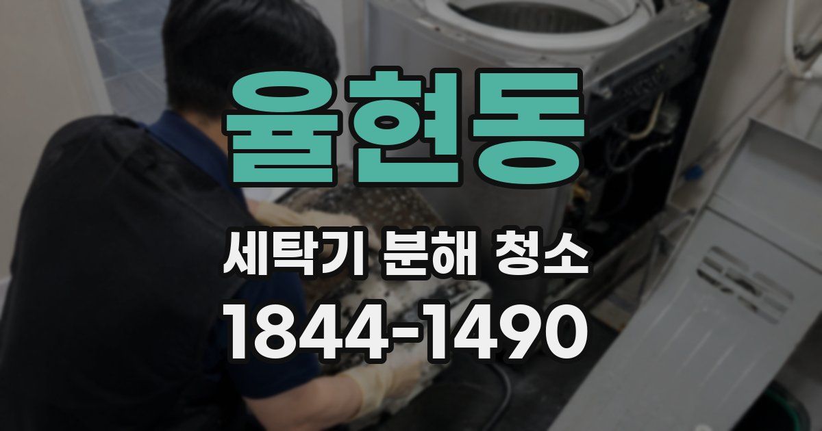 율현동 세탁기 분해 청소