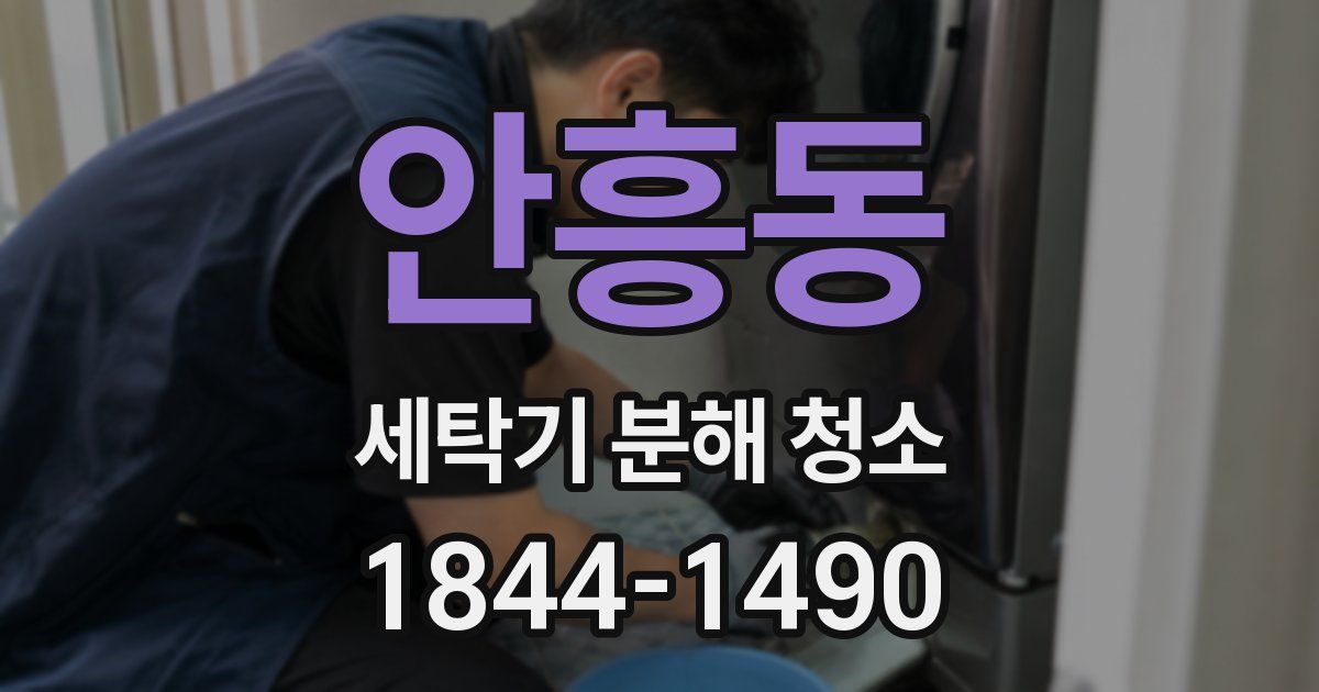 안흥동 세탁기 분해 청소