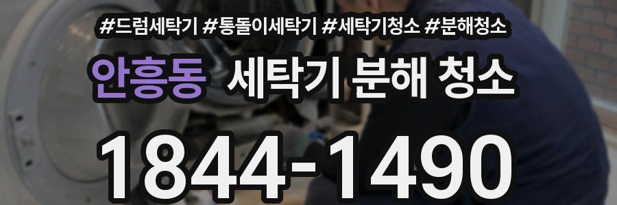 안흥동 세탁기 분해 청소