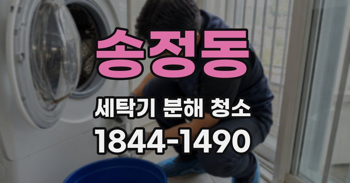 송정동 세탁기 분해 청소