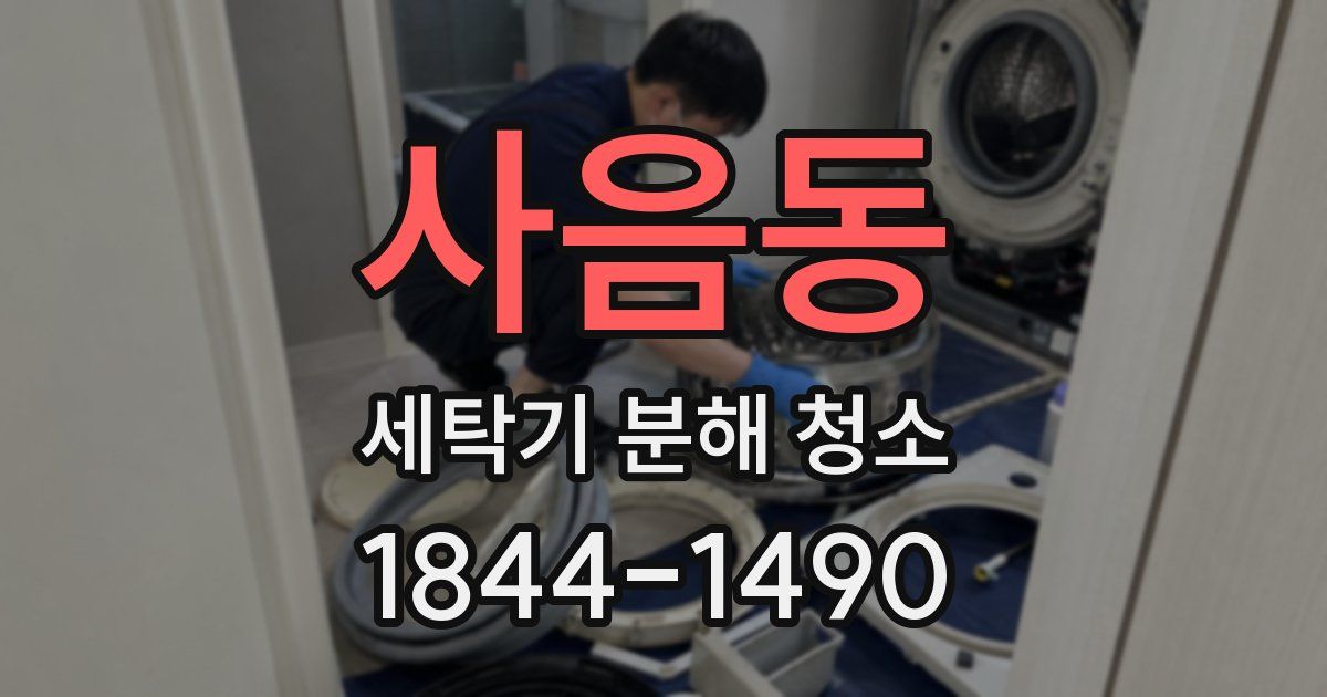 사음동 세탁기 분해 청소
