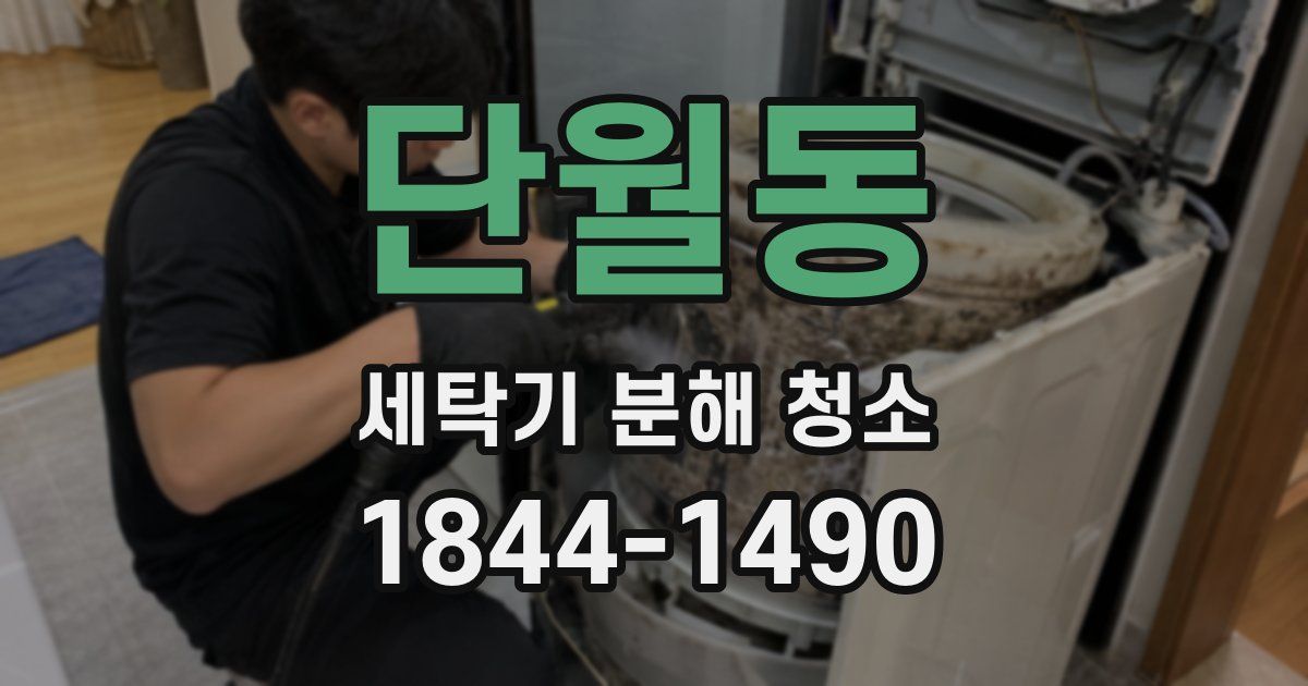 단월동 세탁기 분해 청소