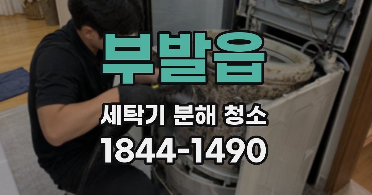 부발읍 세탁기 분해 청소