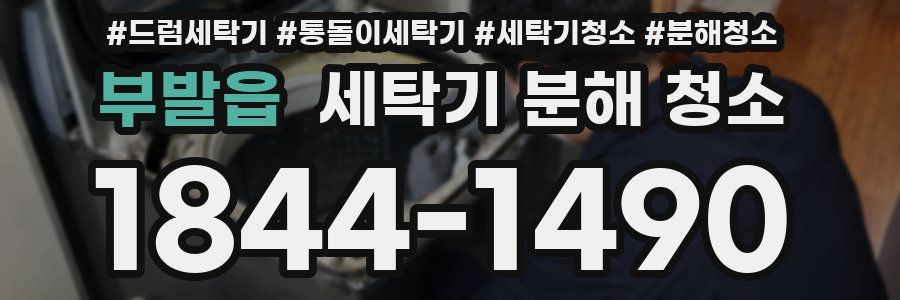 부발읍 세탁기 분해 청소