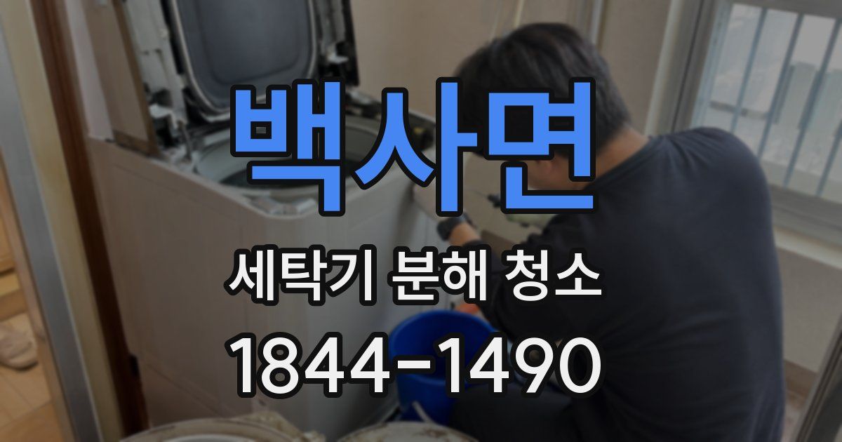 백사면 세탁기 분해 청소